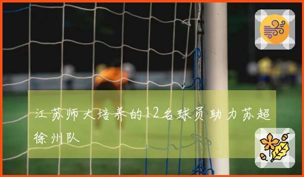 江苏师大培养的12名球员助力苏超徐州队
