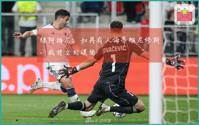 琼阿梅尼：如再有人侮辱维尼修斯，我将立刻退场
